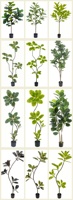 Palmier bananier artificiel en plastique, plante verte de simulation, pour décoration intérieure et extérieure, 4ft 5ft 6ft