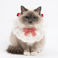 Mignon Bandana pour Chat avec Nœud et Bordure en Dentelle, Bavoir Anti-Bave, Accessoires pour Animaux de Compagnie, Vente en Gros