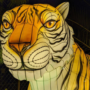 SGLF06 décoration extérieure lanterne ailes d'ange lanterne en soie festival pour photo Interactive - Product Image 2