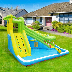 En Stock, Tobogán Acuático Inflable para Niños, Castillo Hinchable para el Hogar, Modelo NBHL-060C, Fabricado con Tela de Nailon - Product Image 3