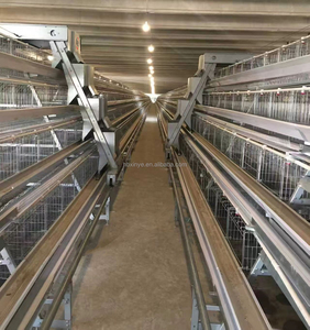 Attrezzatura Automatica per Allevamento Avicolo - Raccoglitore di Uova, Mangiatoia, Pulitore di Letame - Gabbia Zincata a Caldo a 4 Livelli per 128 Uccelli - Prezzo Conveniente - Product Image 2