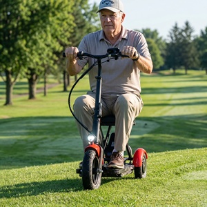 Trottinettes portables auto-équilibrées robustes avec accé<span class=keywords><strong>l</strong></span>ération fluide pour les trajets en banlieue et <span class=keywords><strong>sur</strong></span> les terrains de golf - Product Image 2