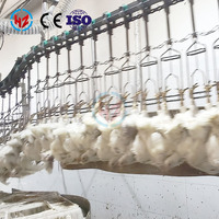 Ligne complète d'abattage de volailles Haoze 500-15000 BPH en acier inoxydable compact pour poulets, canards et oies, moteur 380V, abattoir mobile