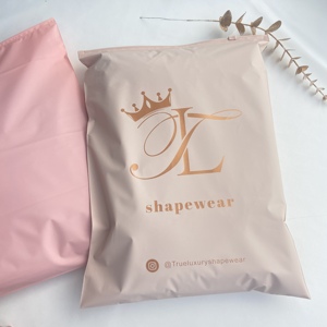 Bán buôn biểu tượng tùy chỉnh in bao bì tự niêm phong Áo sơ mi quần áo <span class=keywords><strong>Zip</strong></span> khóa rõ ràng Ziplock nhựa dây kéo Frosted túi quần áo - Product Image 3