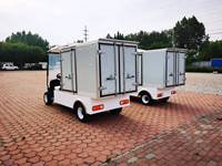 2024 Chine usine en gros voiturette de golf électrique nouveau style 4 roues Buggy poussette pour 2 passagers avec conteneur charge