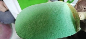 <span class=keywords><strong>Engrais</strong></span> hydrosoluble NPK 19-19-19 pour l'agriculture - Product Image 2