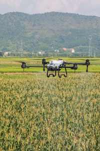 95% New Original Brand Spray Field Argas T20P Plant Protection Agricultural <strong>Drone</strong> US Global Version Agras T20P <strong>Drone</strong> - Product Image 2