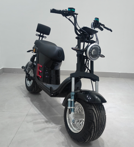 Nouveau Scooter Haute Vitesse 2026 Direct Usine avec Double Siège, Batterie Lithium 20Ah Coco, Atteint des Vitesses Jusqu'à 50km/h - Product Image 3