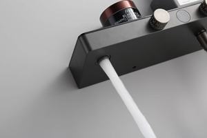 Juego de Ducha con Filtro de Lluvia, Cascada, 2 Manijas, 2 Salidas de Agua, Brazo Elevador - Product Image 2