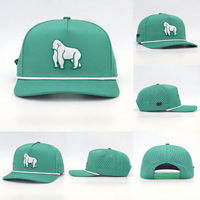 Gorra de 5 Paneles Impermeable con Parche de Goma PVC Personalizado, Logotipo Bordado en 3D, Orificios Perforados, Cierre a Presión, Gorra de Golf con Cuerda, Gorra Trucker
