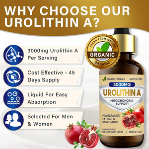 Julong OEM Urolithin A Flüssige Tropfen, Unterstützung gegen Alterung und für Mitochondrien, Urolithin A Flüssigkeit 60ml Granatapfelextrakt Urolithin A Tropfen - Product Image 4
