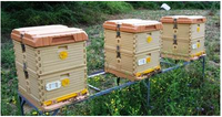 Base de ruche multifonctionnelle en plastique Langstroth Équipement d'apiculture en état neuf pour les fermes apicoles