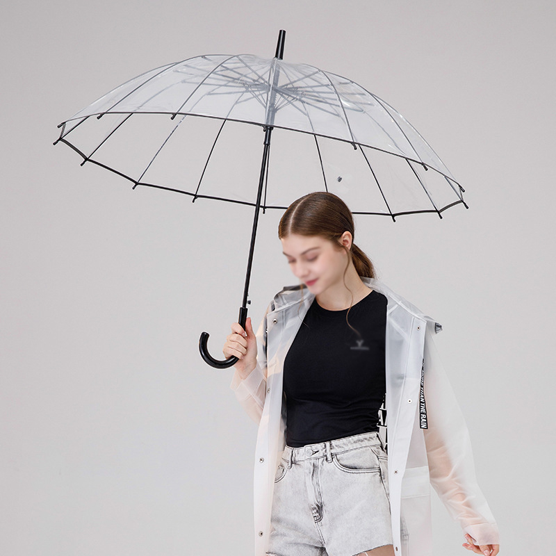 cadre en fer noir transparent
