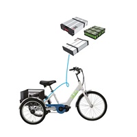 2023 nouvelle batterie de Tricycle Shanshan 2 Sse-198 3 roues batterie électrique pour Tricycle électrique Cargo Tricycle batterie au Lithium