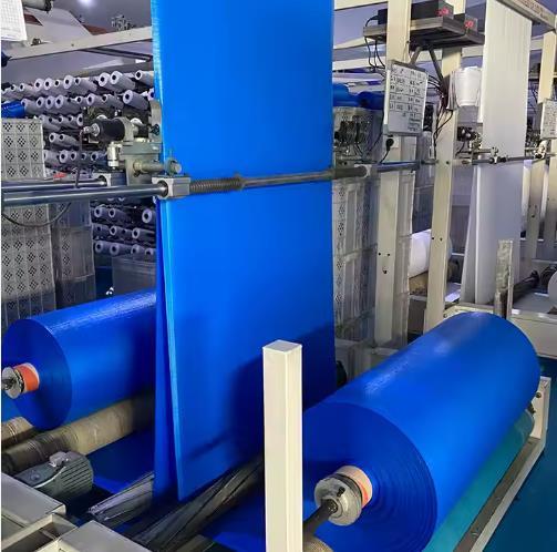 Hot Sale 100 Polypropylene Band for