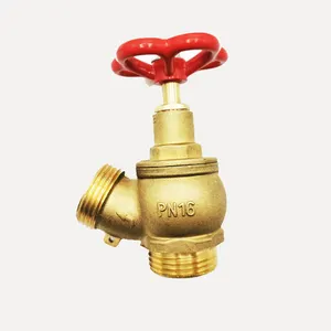 Hot Selling Cheap Custom Brass Landing Hose Fire Valve With 30m