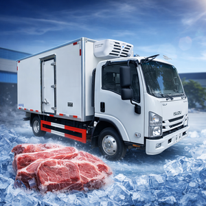 New Magitruck 6tons Refrigerated Freezer Van Truck Diesel Hydraulic Lifting LHD RHD Small Trucks -18C Cold Chain - Product Image 4
