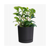 Pot de fleurs rond en plastique de style campagnard avec couvercle sur pieds Gracia Blanc Léger et durable pour patio et balcon