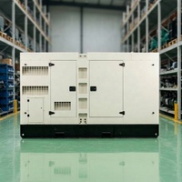 Generador Ecológico de Gas Natural de 100kW, Generador de Biogás y GLP de 125kVA, Fabricante