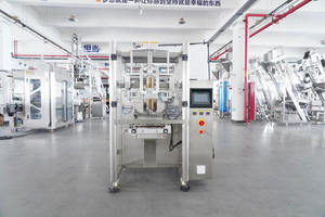 ECHO垂直ポーチバッグ自動充填包装機250g,500g糖蜜 - Product Image 4