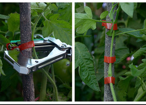 Vườn tapetool nhà máy gốc đóng đai ràng buộc băng máy tapener nho Máy Buộc - Product Image 3