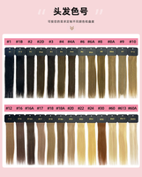 Extensions de cheveux vierges colorées à plumes dégradées peintes, nouvelle troisième génération, sans pli, pour tête entière, Europe-Amérique-Afrique Paris