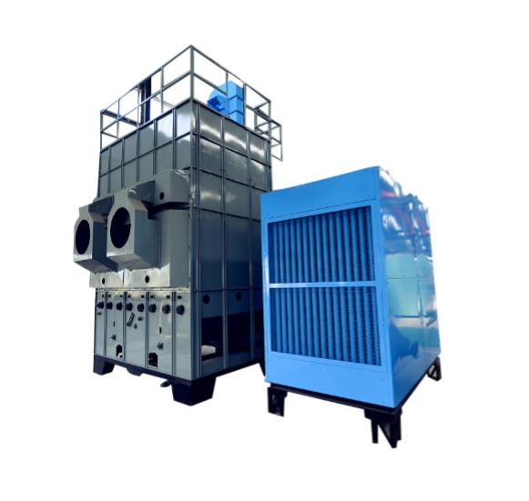Professional Processing Quinoa Millet Beans Seed