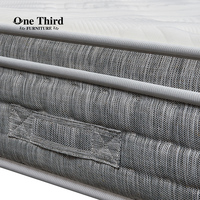 Matelas à ressorts ensachés Queen 25cm de hauteur 5 zones mousse supérieure européenne moderne avec mémoire pour meubles de chambre