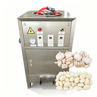 Machine à peler l'ail électrique, pour ail sec et humide