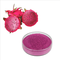 Poudre de fruit du dragon OEM/ODM sous marque privée, poudre de jus de pitaya