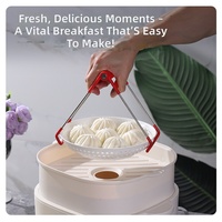 Hittebestendige, voedselveilige, BPA-vrije PP geperforeerde dumpling/bun/dim sum magnetronbestendige, herbruikbare plastic stoomtray