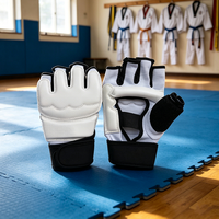 Gants de Taekwondo en Cuir Colorés de Haute Qualité – Offre Spéciale