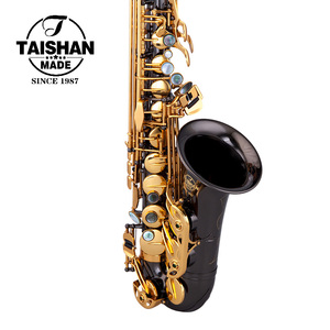 Saxophone alto en nickel noir, clés laquées or, tonalité Eb, haute qualité, vente en gros pour les magasins de musique et l'usage scolaire - Product Image 3
