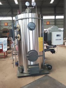 500kg - 20000kg/h 수직형 바이오매스 증기보일러 화염관 자연순환 에너지 절약형 산업용 농업용 - Product Image 6