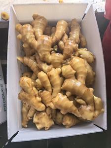 Baixo Preço 2025 Nova Safra Gengibre Fresco Chinês de Alta Qualidade Fornecimento a Granel de Raiz de Gengibre - Product Image 4