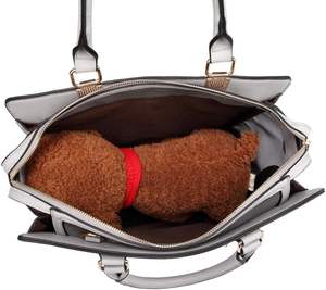 Moderne fermeture éclair PU solide Pet <span class=keywords><strong>Transport</strong></span> Carrier petit moyen <span class=keywords><strong>chien</strong></span> <span class=keywords><strong>sac</strong></span> de voyage compagnie <span class=keywords><strong>a</strong></span>érienne approuvé chat <span class=keywords><strong>sac</strong></span> à <span class=keywords><strong>dos</strong></span> pour la <span class=keywords><strong>randonnée</strong></span> transportant chiot - Product Image 5