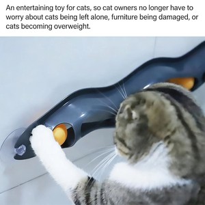 ของเล่นแมวแบบลูกบอลติดกระจก ขายตรงจากโรงงาน - Product Image 4