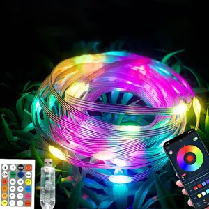 WS2812B LED String Lichterketten Traum farbe RGBIC Adressierbare Weihnachts beleuchtung Hochzeits girlande USB App Smart Fernbedienung