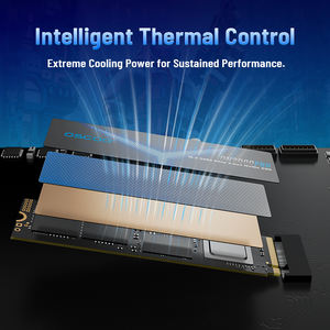 Unidad de Estado Sólido OSCOO ON2000Pro de <span class=keywords><strong>2</strong></span> TB Gen5 NVMe <span class=keywords><strong>M</strong></span>.<span class=keywords><strong>2</strong></span>, Velocidad de 14000 MB/s para Juegos, Edición de Video, Diseño, Nueva Unidad de Estado Sólido de 1 TB y 4 TB - Product Image 4