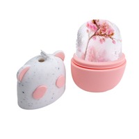 Nouveau Masque de Glace en Silicone Personnalisable en Forme de Visage de Panda pour Application et Compresse, Moule à Glace Portable pour Massage Facial, Taille Personnalisable