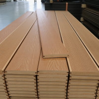 Plancher en composite bois-plastique (WPC) antidérapant pour extérieur, faible entretien
