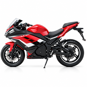 Motocicleta de Motocross con Batería de Litio de 2000w - Product Image 3