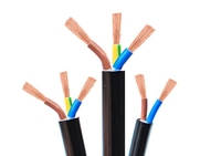 2,5mm Kabel 3-adrig 4mm PVC Kupfer Mechanisches Steuerkabel für Industrielle Gebäudeeinsatz 100m Rolle Preis pro Meter