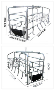 Yeni MUFA modeli 001 tipi sıcak galvanizli çelik Sow gebelik kafes domuz çiftlik Sow farfarverimli ayırma için 1 yıl garanti - Product Image 6