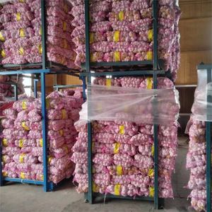 <span class=keywords><strong>Tresse</strong></span> d'<span class=keywords><strong>ail</strong></span> biologique en vrac Nouvelle culture d'<span class=keywords><strong>ail</strong></span> biologique fraîche - Product Image 4