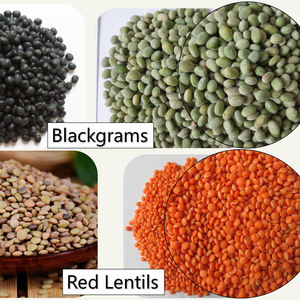 Полная установка для производства импульсов, автоматическая установка для производства чечевицы, гороха, нута, желтая, черная, граммовая машина для очистки кожуры, цена - Product Image 3