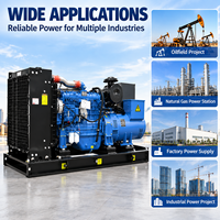 Groupe électrogène diesel Yuchai YC6MJ500-D30 300 kW 375 kVA 50 Hz 1500 tr/min triphasé pour l'alimentation électrique industrielle des usines
