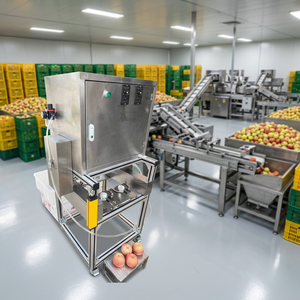 Machine automatique FENGXIANG pour peler, dénoyaouter et trancher les pommes, 380V, en acier inoxydable, équipement de transformation des fruits, haute productivité - Product Image 2