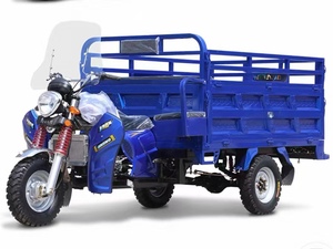 Triciclo <span class=keywords><strong>de</strong></span> Gasolina Resistente - Certificado por la CEE, Motocicleta <span class=keywords><strong>de</strong></span> Tres Ruedas <span class=keywords><strong>de</strong></span> 200cc para 2 Pasajeros, para Trabajos <span class=keywords><strong>de</strong></span> Carga Pesada - Product Image 2