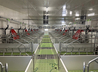 Cage de mise bas pour porcs en acier galvanisé à chaud, cage de maternité pour truies personnalisée, facile à nettoyer, résistante à la rouille, garantie de qualité